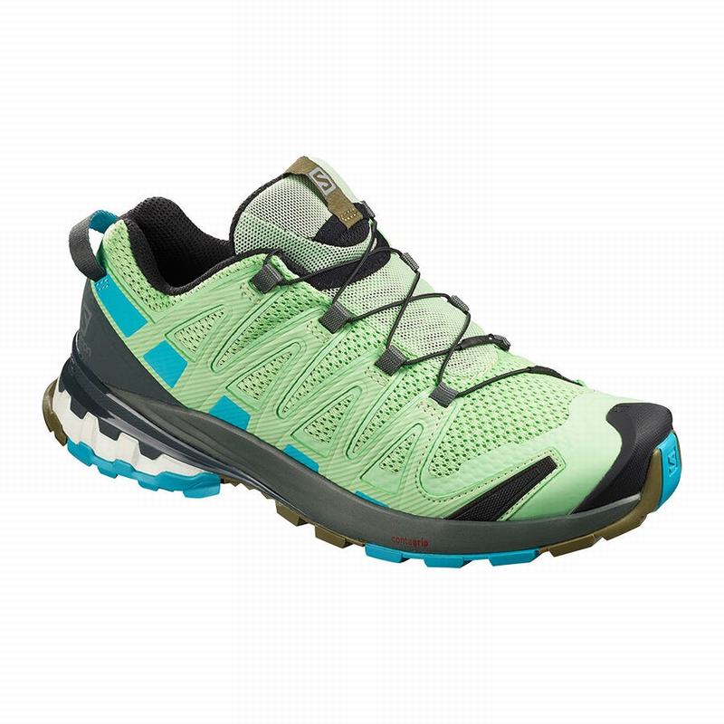 Chaussures De Trail Running Salomon Femme Vert - Salomon XA PRO 3D V8 - France (8570-QJPFD)